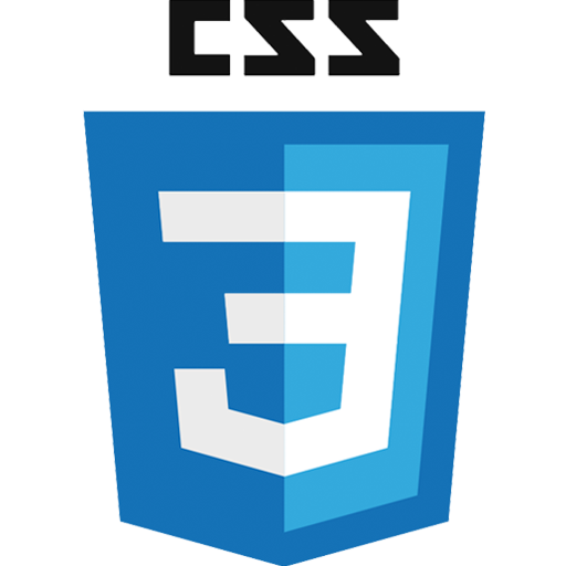 css3